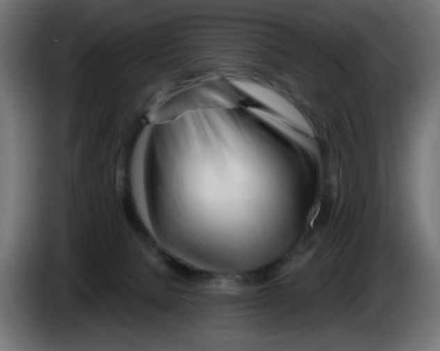 X0000083020080200703022013