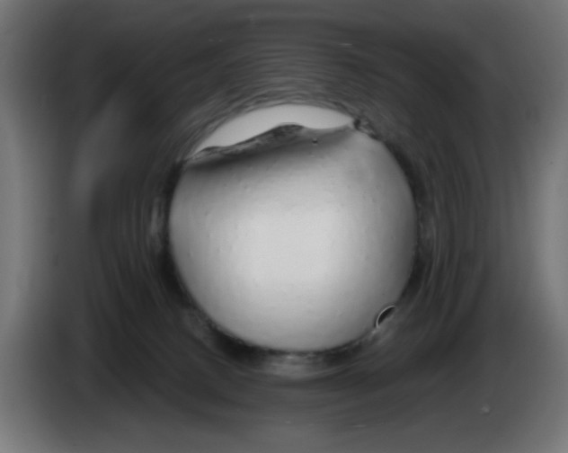 X0000083020082200703022013