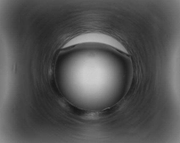 X0000083020084200703022013