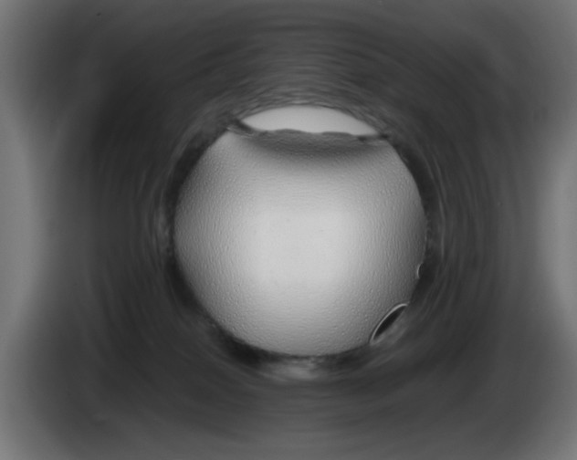 X0000083020086200703022013