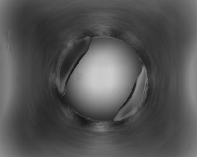 X0000083020088200703022013