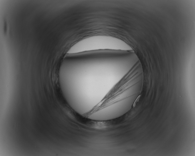 X0000083020091200703022013