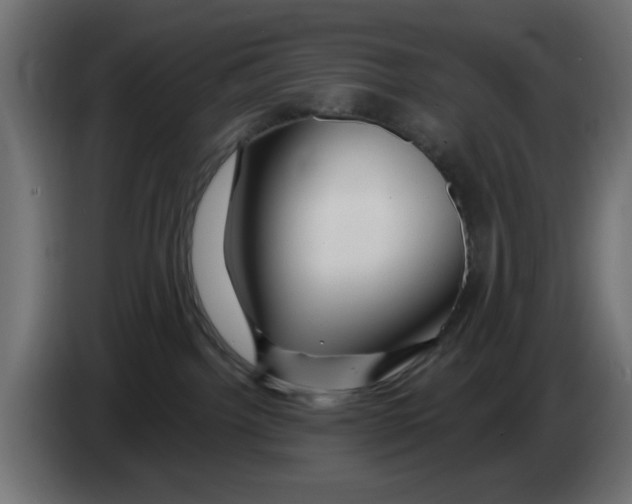 X0000083020092200703022013