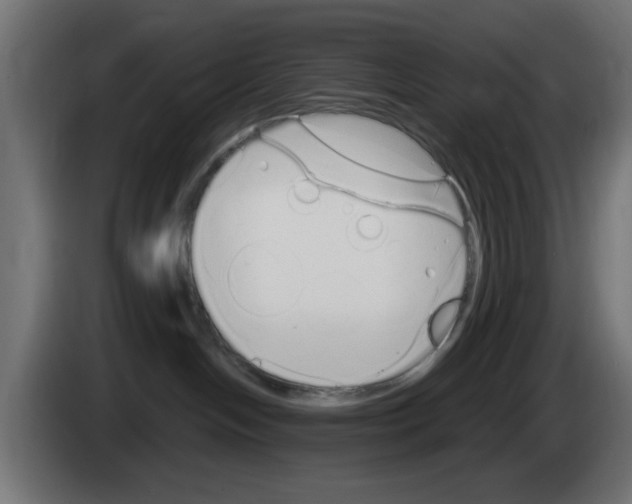 X0000083020094200703022013