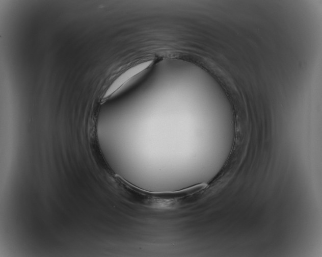 X0000083020096200703022013