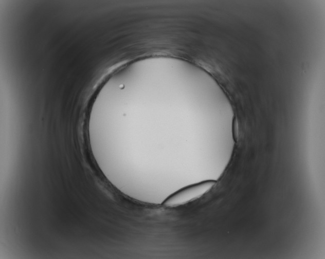 X0000083020098200703022013