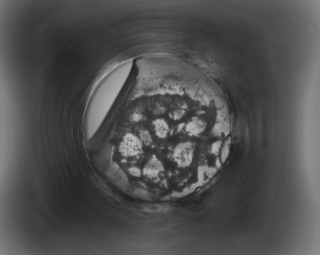 X0000083020099200703022013