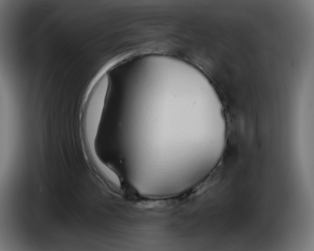 X0000083020100200703022013