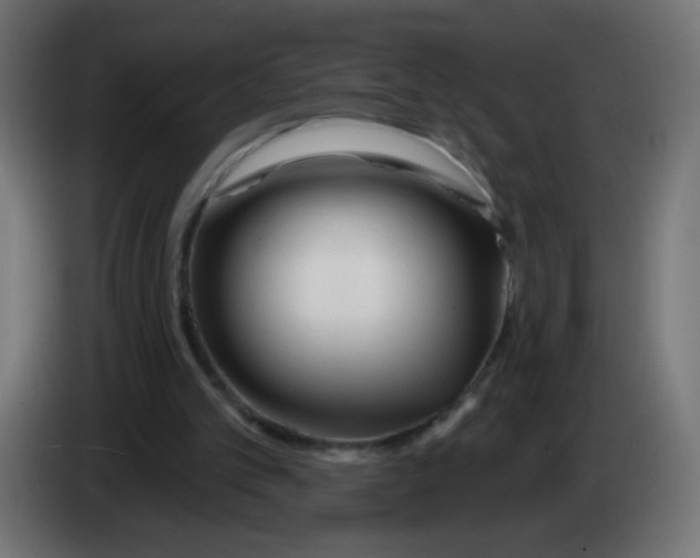 X0000083020101200703022013