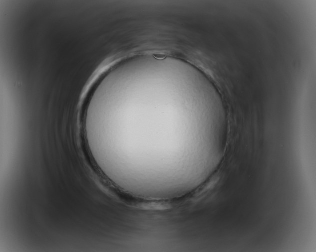 X0000083020102200703022013