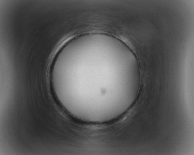 X0000083020103200703022013