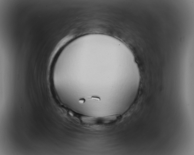 X0000083020104200703022013