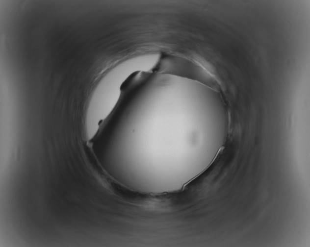 X0000083020109200703022013