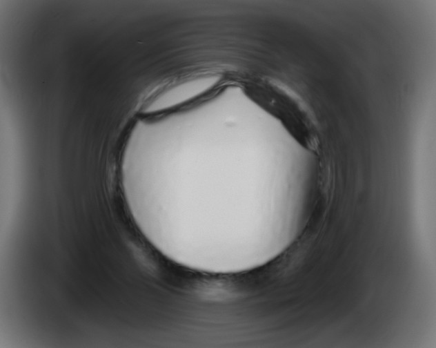 X0000083020110200703022013