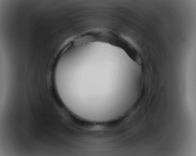 X0000083020111200703022013