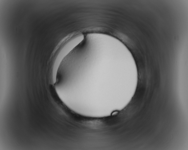 X0000083020112200703022012