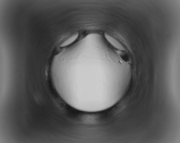 X0000083020115200703022012