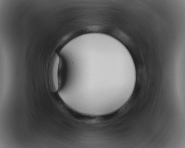 X0000083020116200703022012