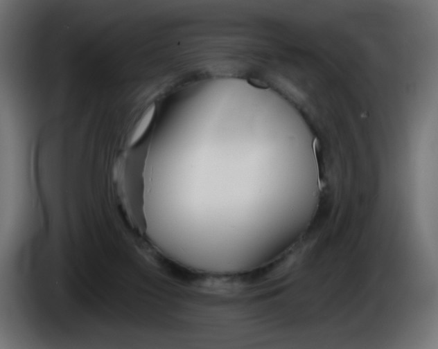 X0000083020117200703022012