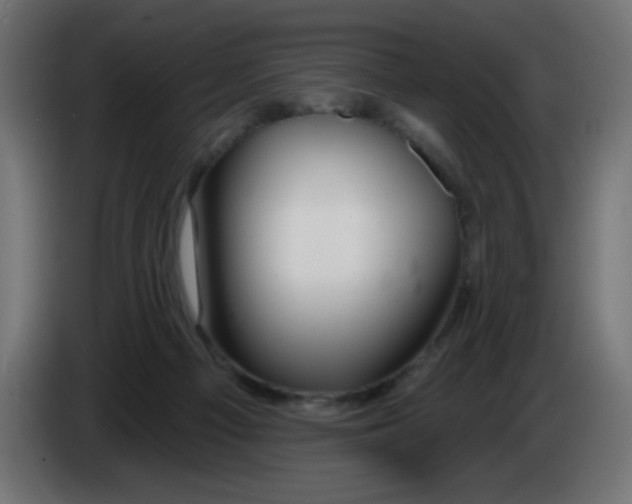 X0000083020121200703022012