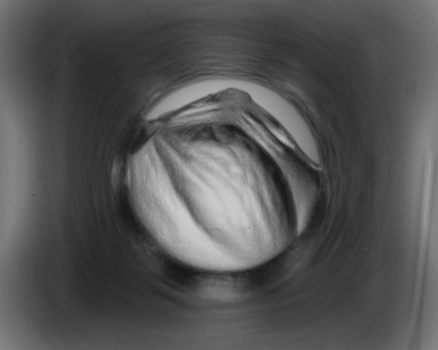 X0000083020123200703022012