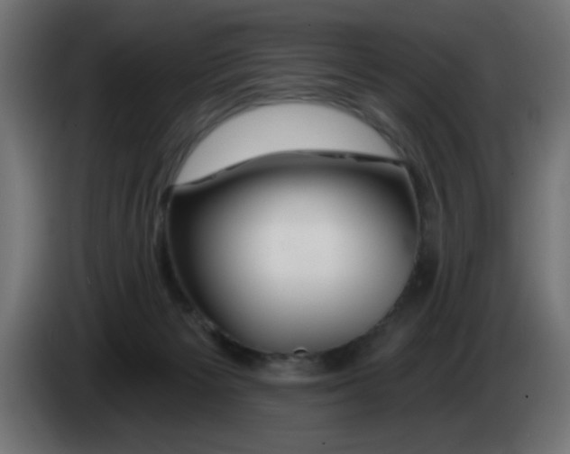 X0000083020125200703022012