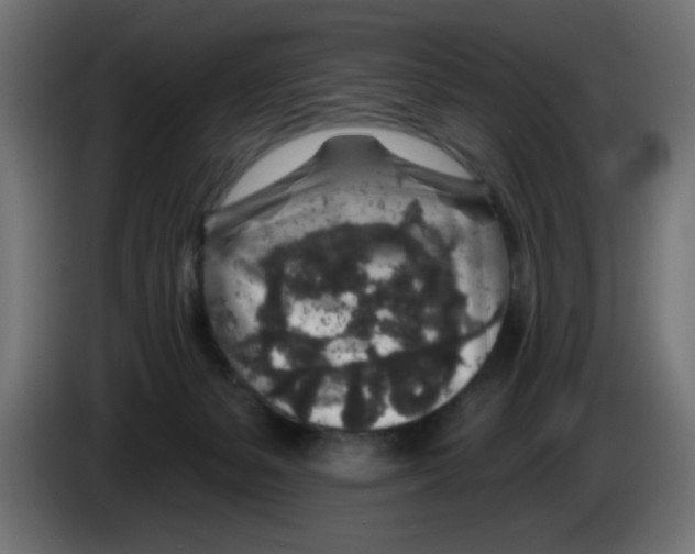 X0000083020127200703022012