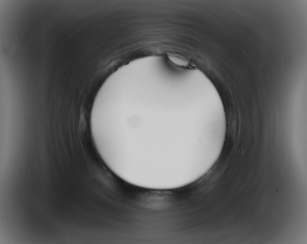 X0000083020128200703022012