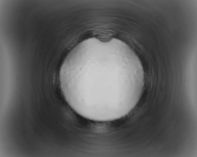 X0000083020134200703022012