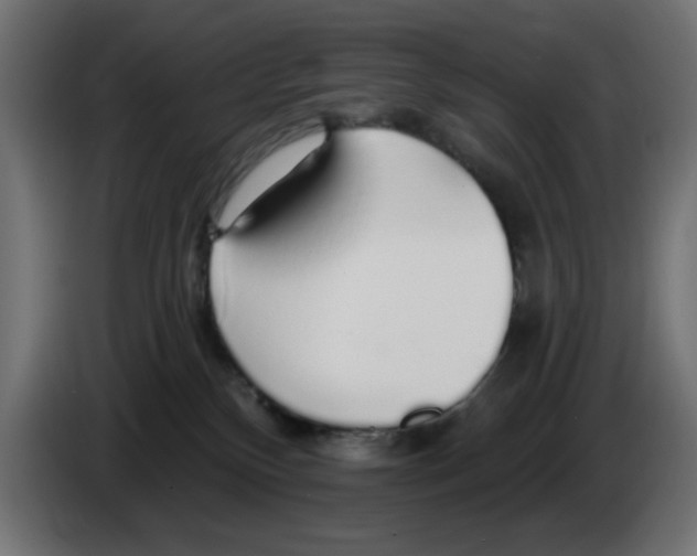 X0000083020136200703022012