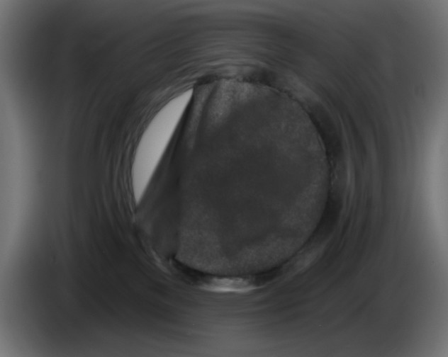 X0000083020137200703022012