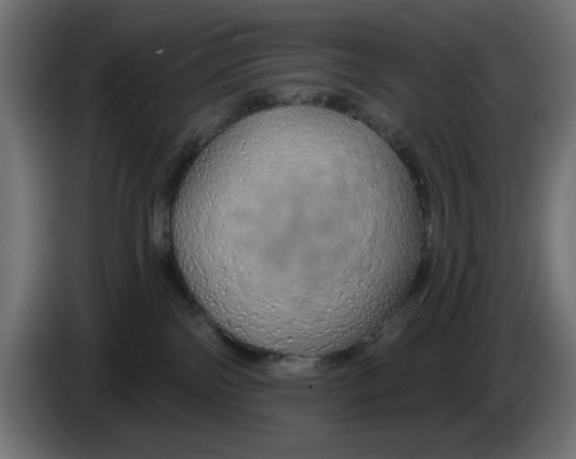 X0000083020138200703022012