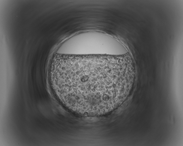 X0000083020145200703022011