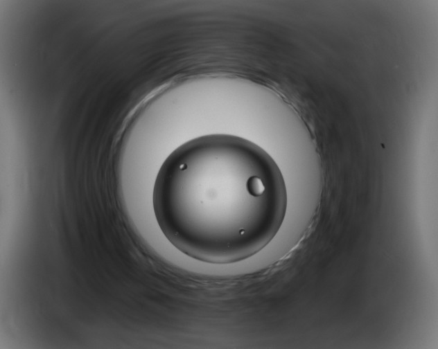 X0000083020146200703022011