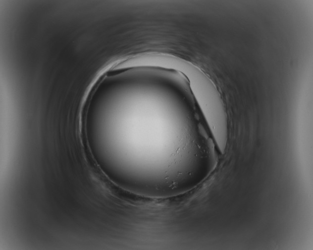 X0000083020148200703022011