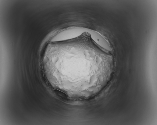 X0000083020149200703022011