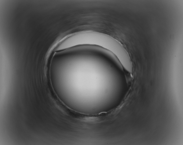 X0000083020150200703022011