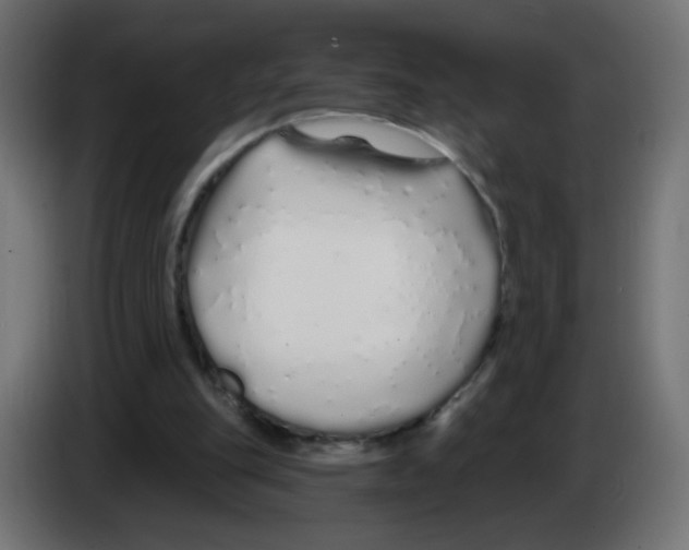 X0000083020151200703022011