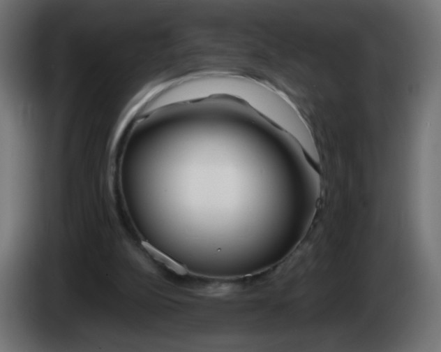 X0000083020152200703022011