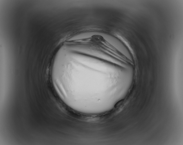 X0000083020153200703022011