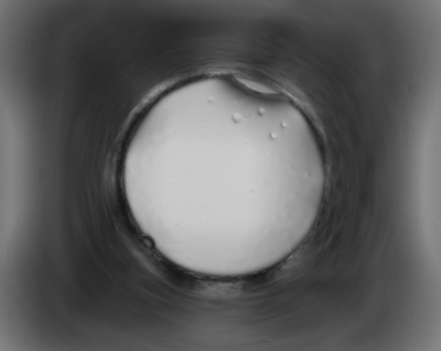 X0000083020155200703022011