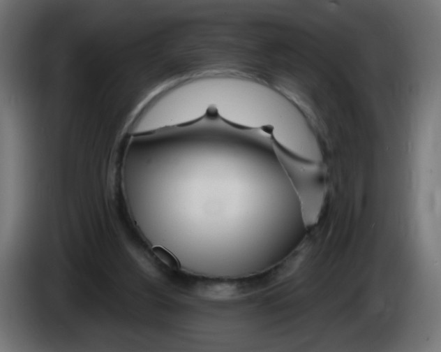 X0000083020156200703022012