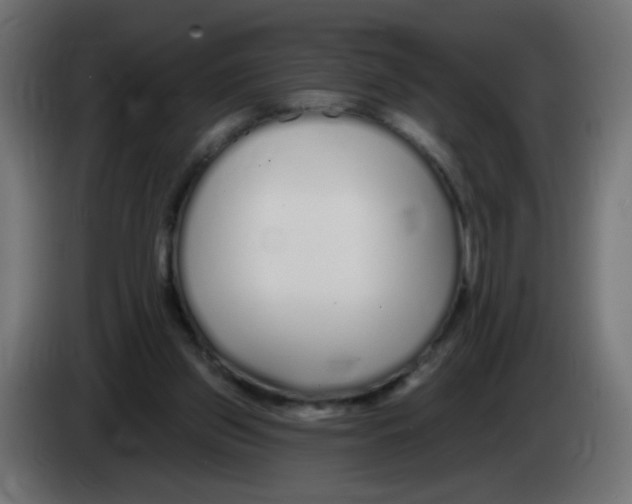 X0000083020157200703022012