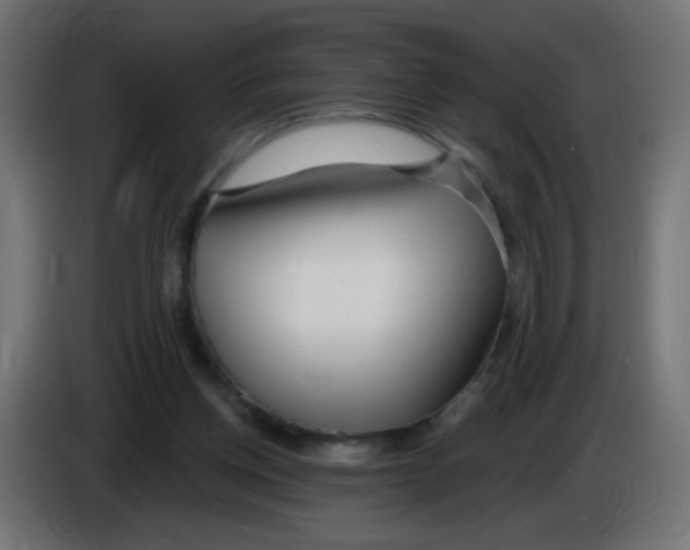 X0000083020158200703022012