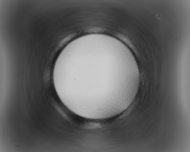 X0000083020159200703022012