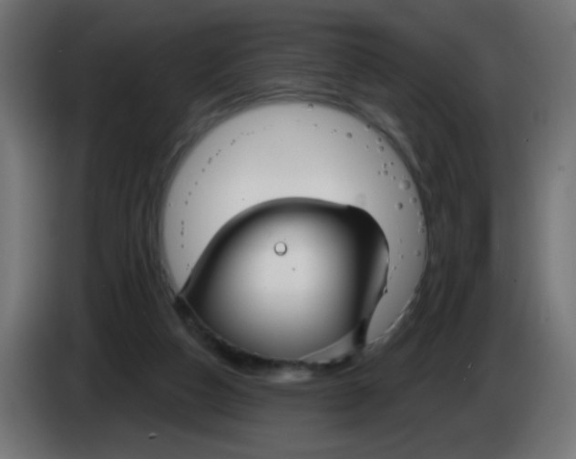 X0000083020162200703022012