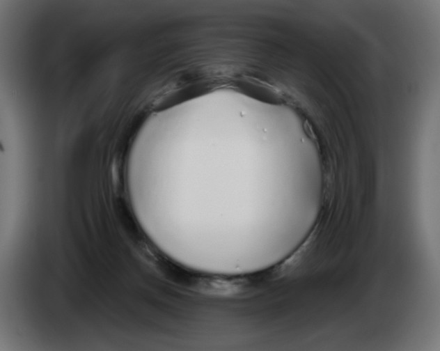 X0000083020166200703022012