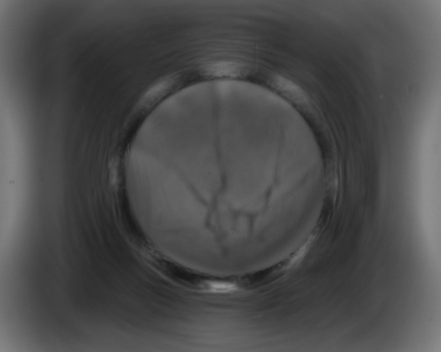 X0000083020167200703022012