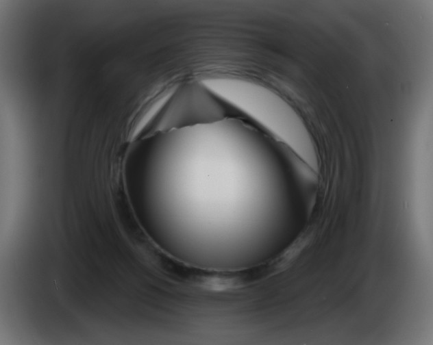 X0000083020168200703022012