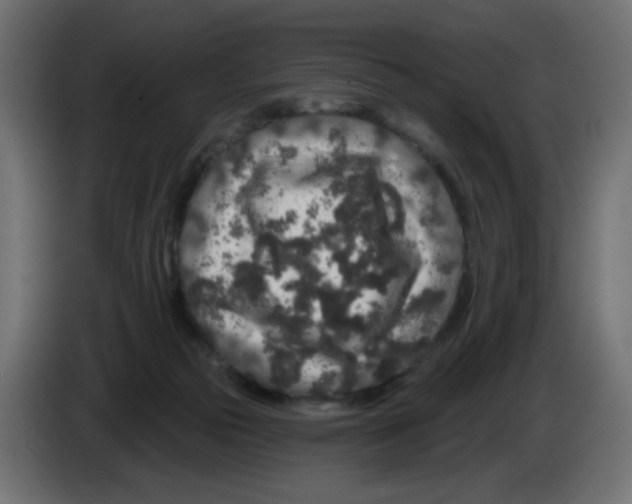 X0000083020169200703022012